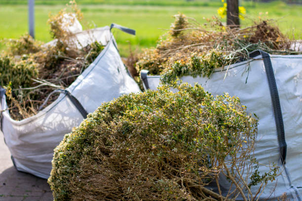 Best Shed Removal  in Little Chute, WI